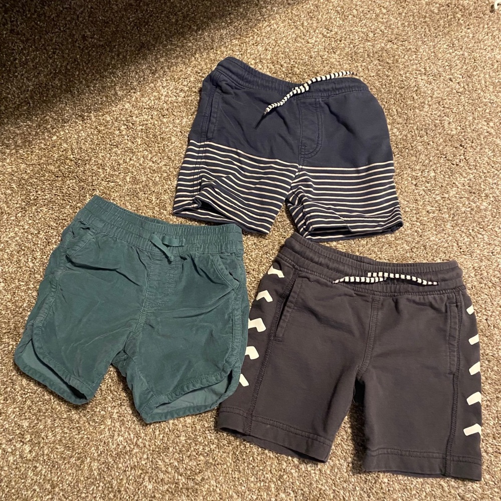 Tea collection boys shorts